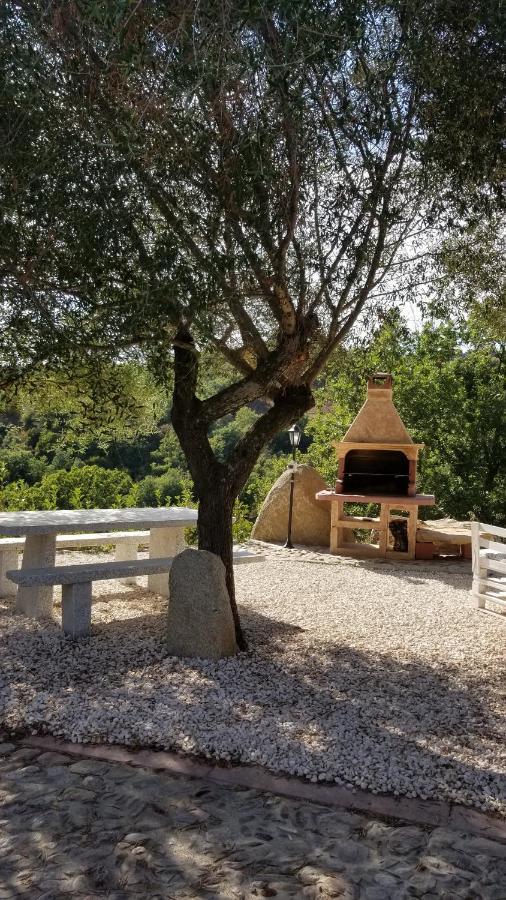 B&B Casa Vacanza Centro Sardegna Sorgono Zewnętrze zdjęcie