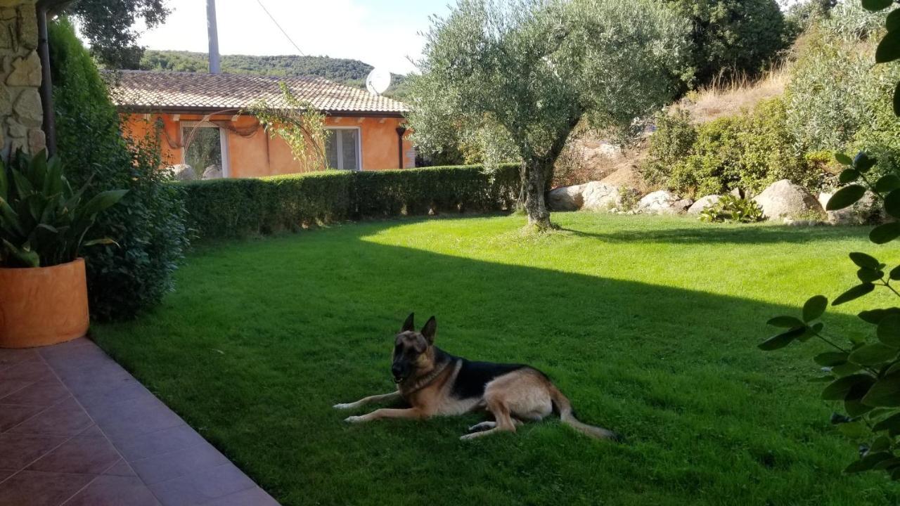 B&B Casa Vacanza Centro Sardegna Sorgono Zewnętrze zdjęcie